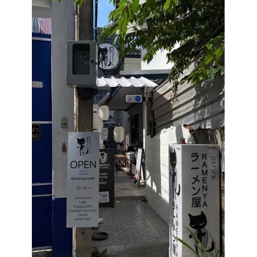 Cat in the box homestay