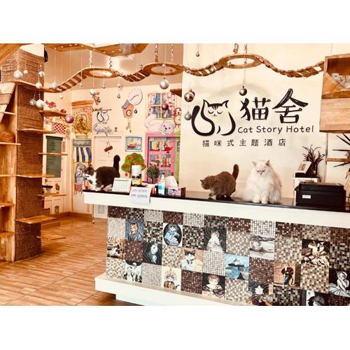 Cat Story Hotel
