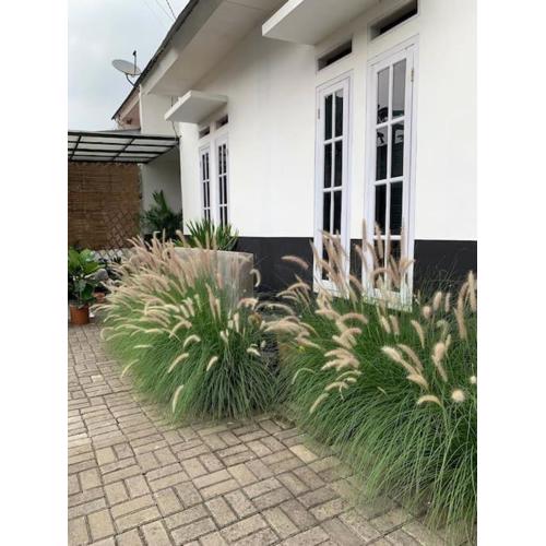 Ceana House at Selabintana