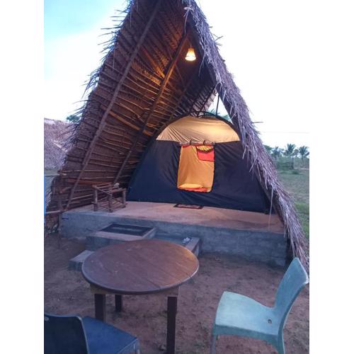 Ceylon Antheia Beach camping site