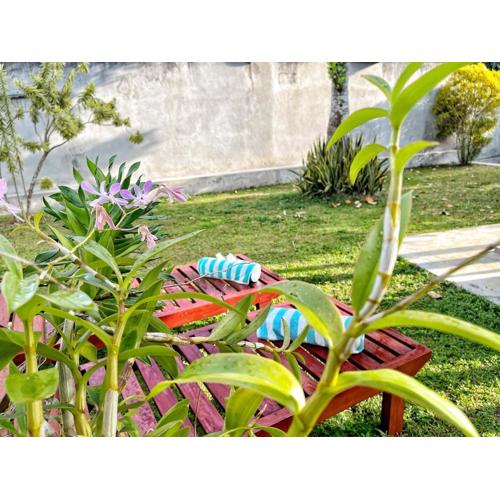 Ceylon Little Paradise