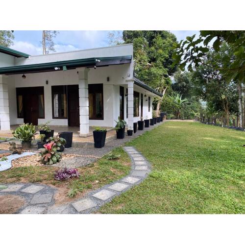 Ceylon Rich Leaves Ella
