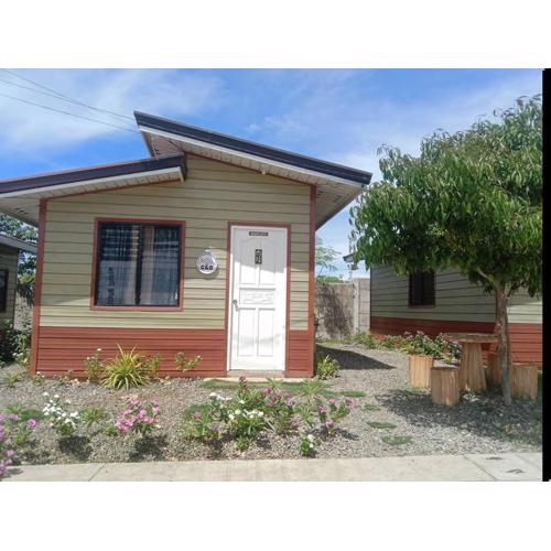 C&G transient in Olango Island