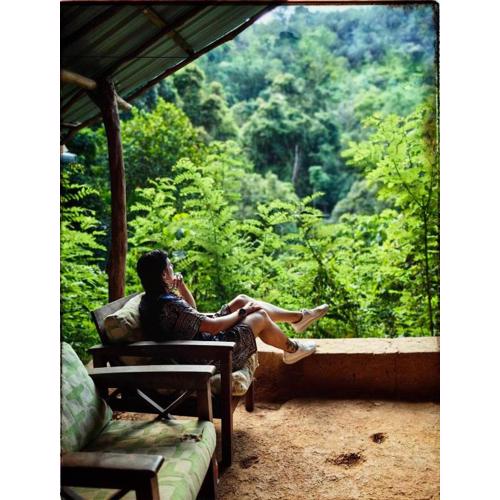 Chalet in the Jungle