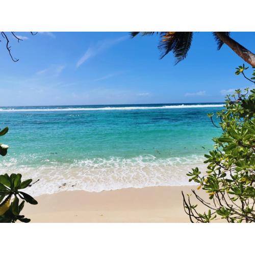 Chalets d'Anse Forbans SelfCatering