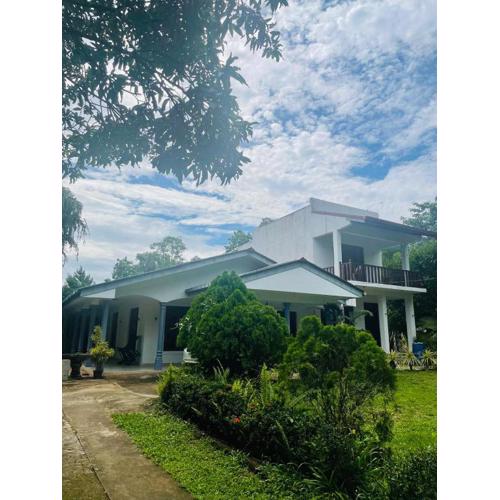 Chamber Resort