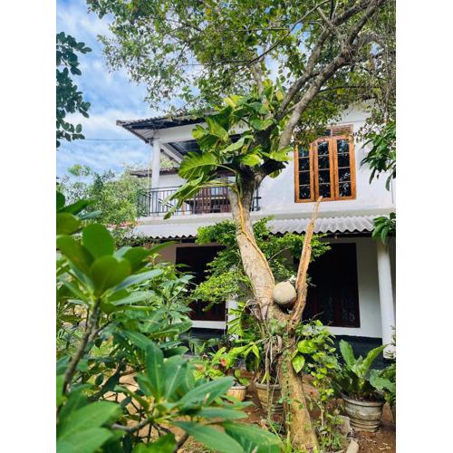 Chamikara Homestay