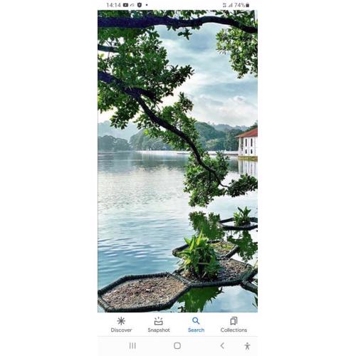 Charlton Kandy City Rest