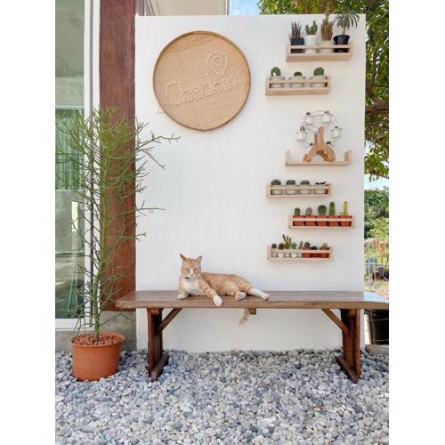 Check-in Resort Koh Larn