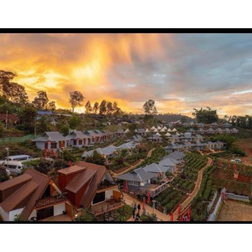 Chenfong Rakthai Resort-ไร่ชาเฉินฟงรีสอร์ท