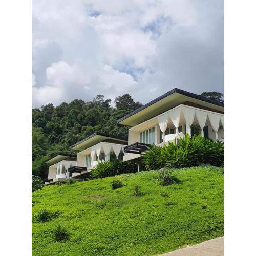 เฌอปือ เชียงใหม่ Cherpue Chiangmai