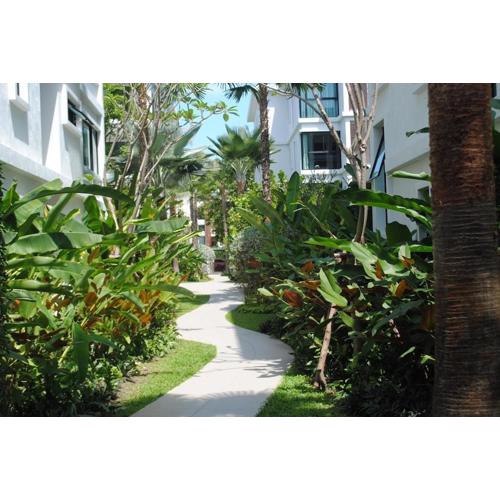 CHEZ MAURICE A RAWAIi