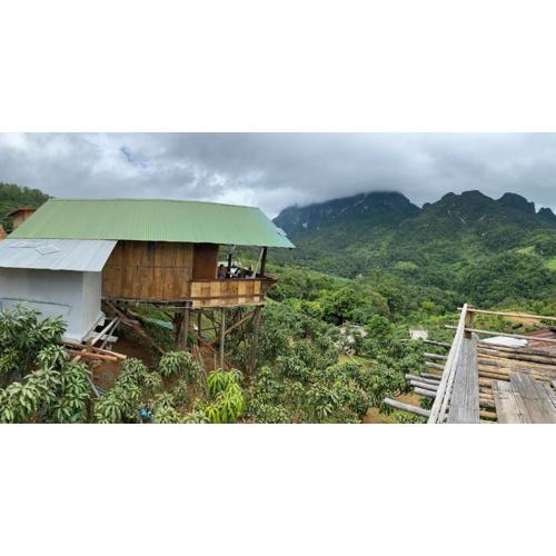 Chiang Dao Story Camp