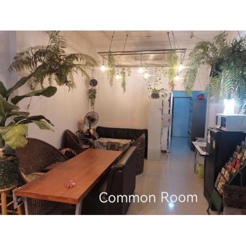 Chiang Mai Gate Capsule Hostel