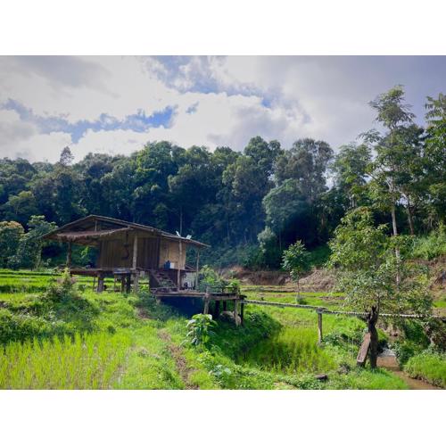 Chibacall ชิบะคอล Karen Mountains Hideaway Homestay