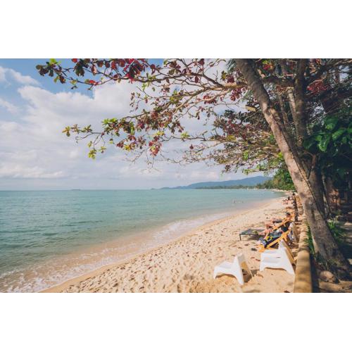 Chill Inn Lipa Noi Hostel and Beach Cafe