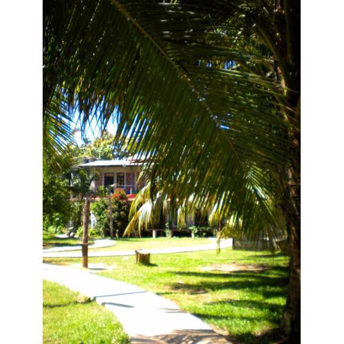 Chill Vibes Hiriketiya