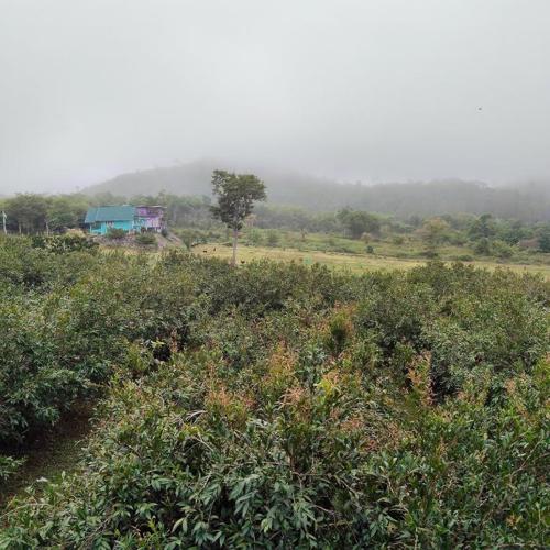 Chomview Hut