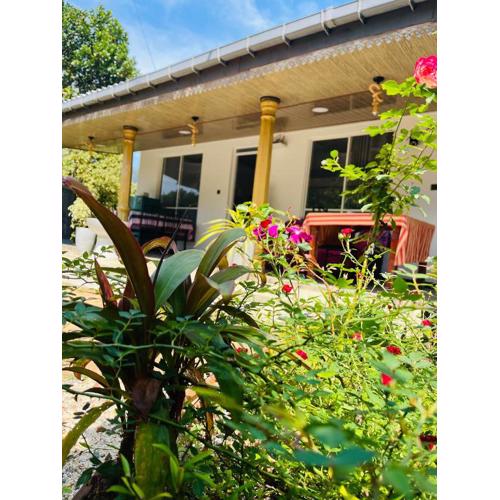Cinnamon Homestay ella