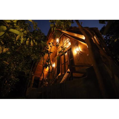 Cinnamon Paradise Cinnamon Room