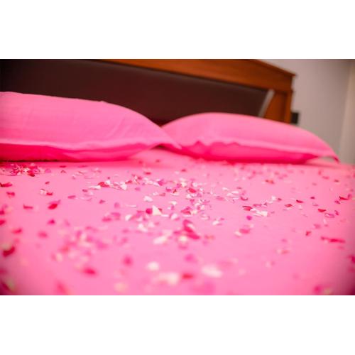 Cinnamon View Villa Galle