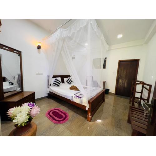 Citadel of Dreams Ella