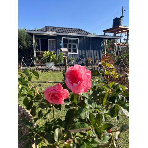 Citronella Mountain Cottage Nanyuki