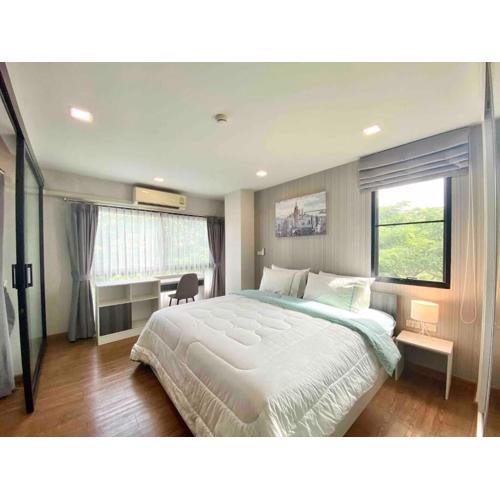 City Link, Urban Premierre Suite