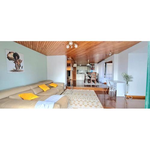 City view duplex penthouse apartment