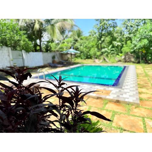 City View Safari Resort