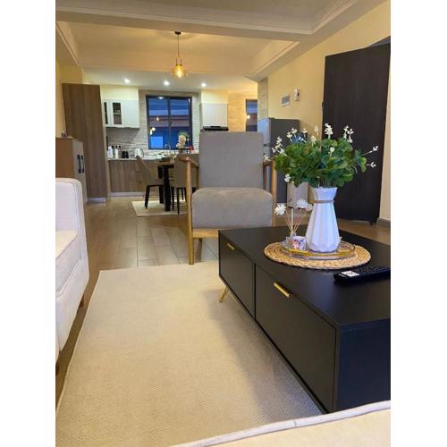 classic palace apartment with heated swimming pool fully equipped gym private parking,child play area and a relaxing rooftop with amazing city views