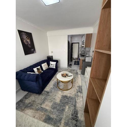 classy studio apartment in kilimani with fully equipped gym and balcony which breathtaking city views