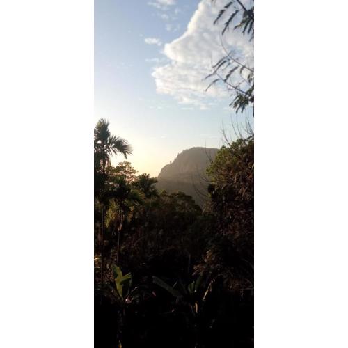 Cloudy Dregs inn ella