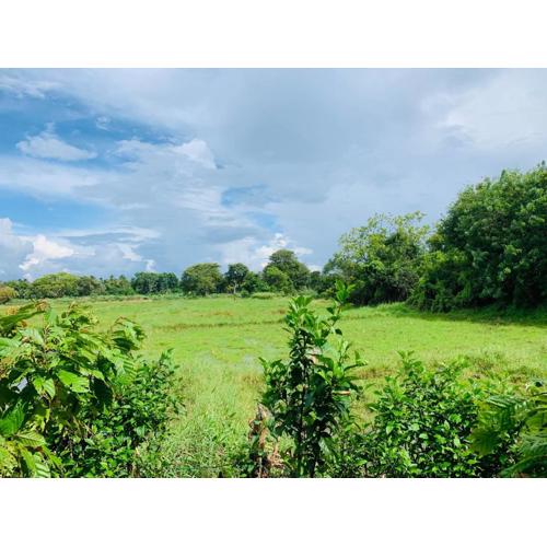 Coco Garden Holiday Homes