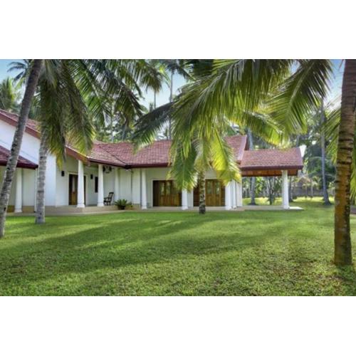 Coco Villa Peach Tree