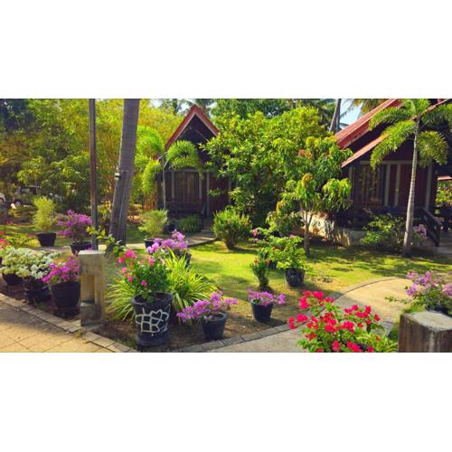 Cocolagoon eco Resort Nilaveli