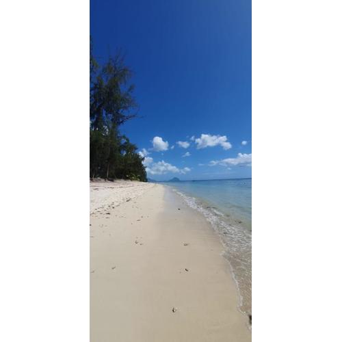 Coconut Bay Apartments