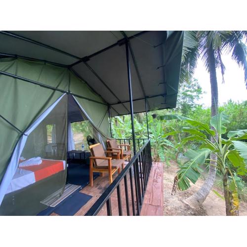 coconut camp udawalawe