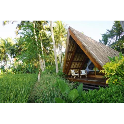 Coconut Corner - Rice Field Dome