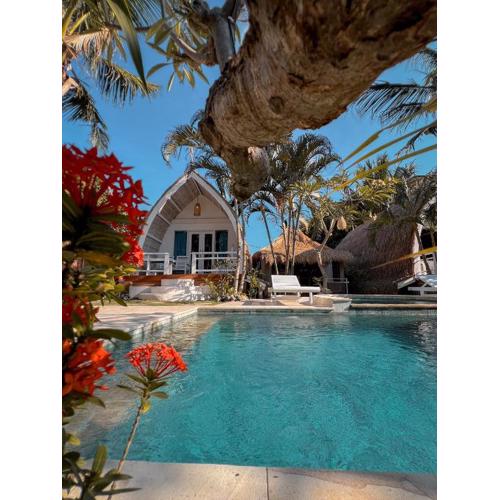 Coconut Dream Villas