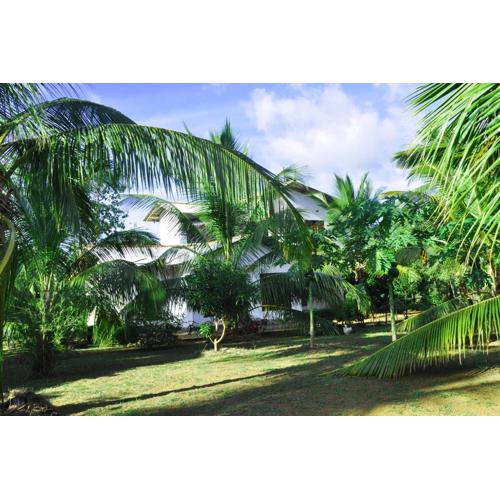 Coconut Garden House