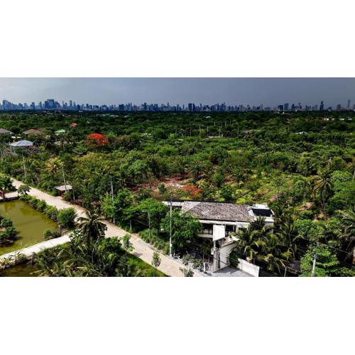 Coconut Lane Bangkok