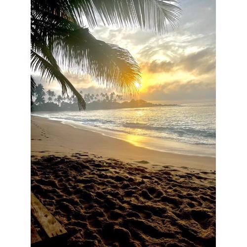 Coconut Palm beach restaurant and rooms