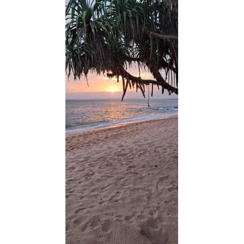 Coconut Tree hill Rekawa