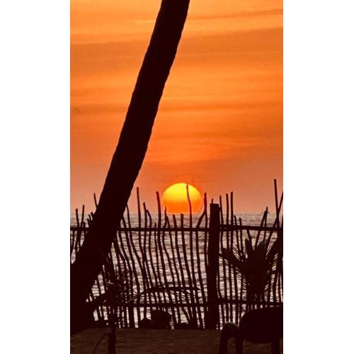 CocoVilla Boutique Resort