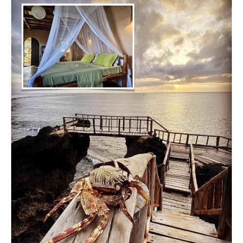 Colobus Suite of 40m2 in Villa 560 m2, View of the Indian Ocean