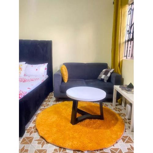 Comfort studio apartment