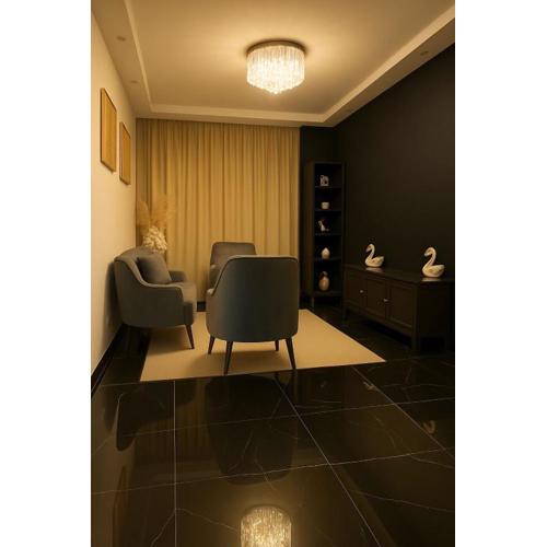 Comfortable and Attractive Apartment