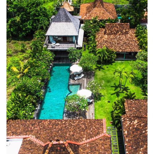 Complex Villas Cashew Anouk Jungle - Bingin