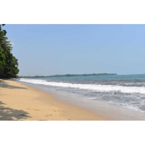 Condo In Carita - 9202B